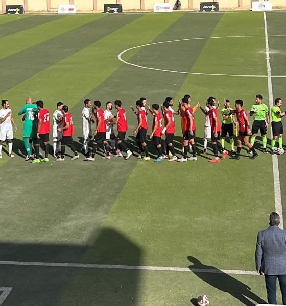 الزهور وإسكندرية للبترول